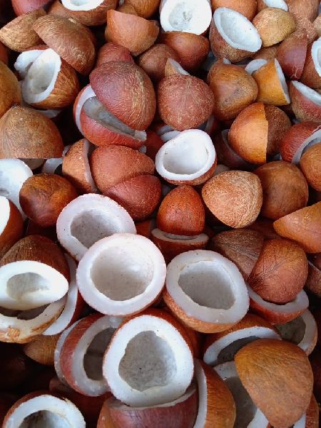 Coconut and Coconut Products