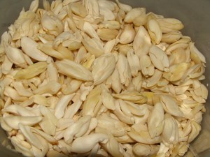 Ngali Nut Grading and Inspection in Solomon Islands